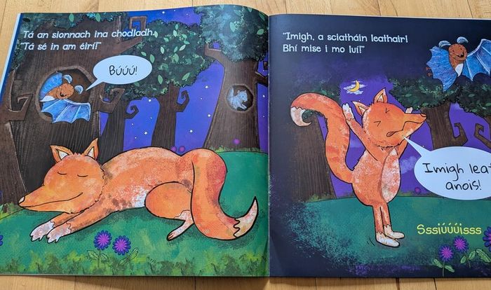 Buuu - brand new - delightful book as Gaeilge - less than half price