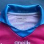 Dublin Jersey Image 2