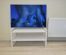 Fine Art Award Winning Wildlife Print