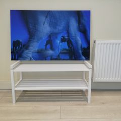 Fine Art Award Winning Wildlife Print