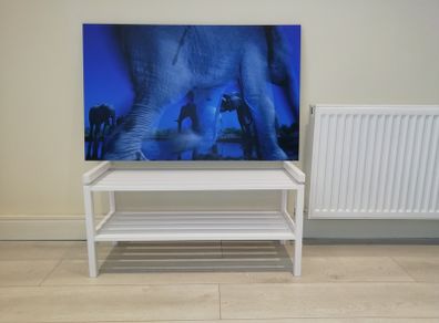 Fine Art Award Winning Wildlife Print