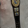 WWE Wrestling Belt Image 2