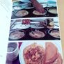 Hawkers Delight cookbook Image 4