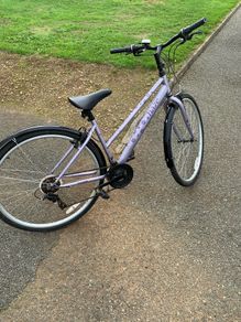 ladies Bike