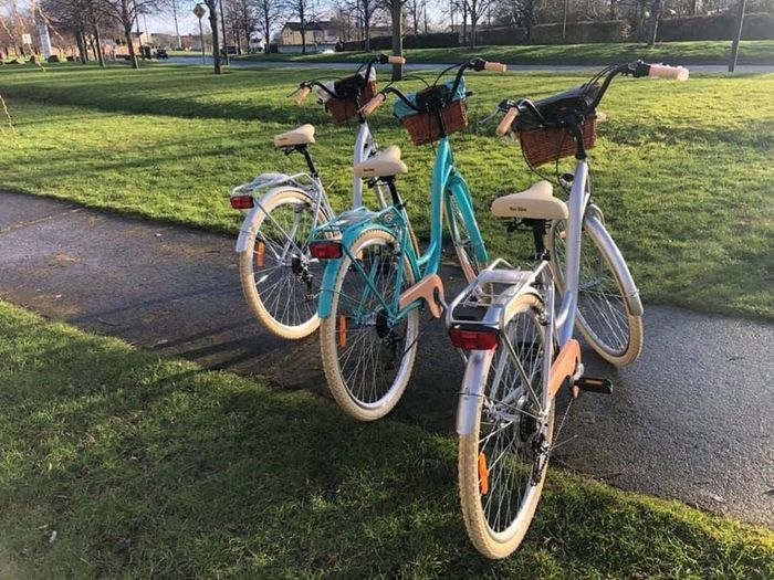 Lady's City Bike / Basket / 7 Shimmano Gears / DELIVERY