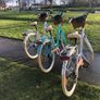 Lady's City Bike / Basket / 7 Shimmano Gears / DELIVERY Image 8