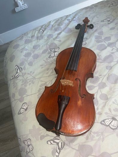Violin