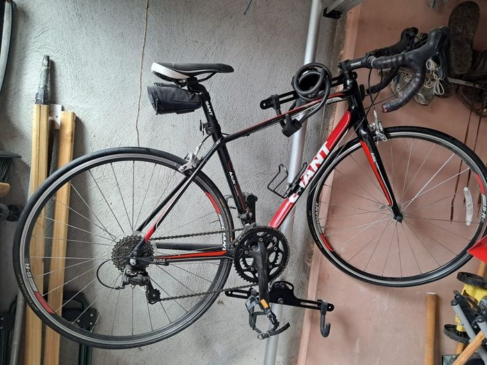 Giant bike