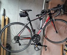 Giant bike