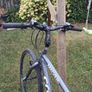 Teen or adult CROSS Malvern BIKE 28in wheel size Image 4