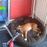 amylouise28