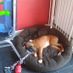 amylouise28