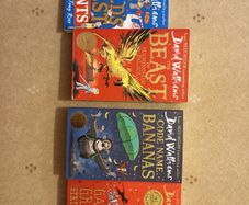 David Walliams books x 4