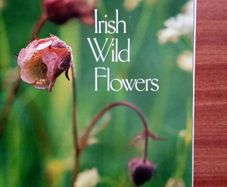 Irish wild flowers by Ruth Isabel Ross
