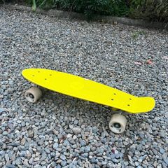 Skateboard cruiser (22 inch)