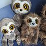 Sloth Collection! (Mostly TY, great condition) Image 2