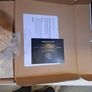 Hoxton 2.0 rain shower head with wall mounted arm brushed brass Image 4