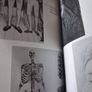 Irish Eccentrics / Peter Somerville- Large /1st Paperback ed. / Lilliput/ 1990 Image 8