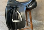 Dressage