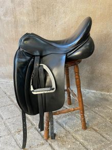 Dressage