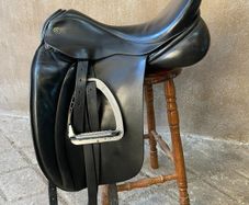 Dressage