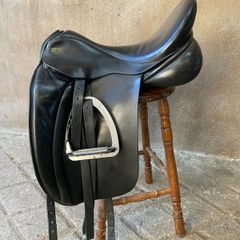 Dressage