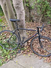Fuji Fixie