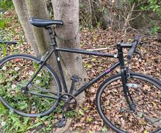 Fuji Fixie