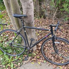 Fuji Fixie