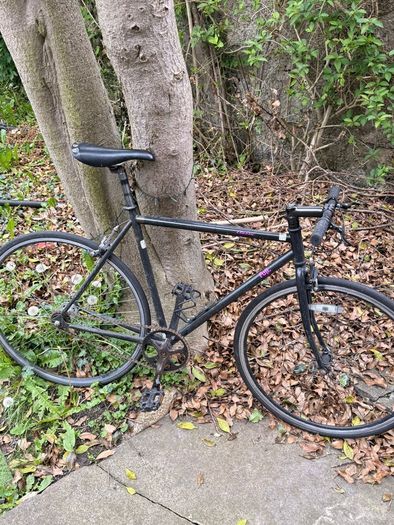 Fuji Fixie