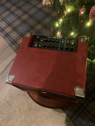 Phil Jones BG-110 Bass Cub Combo bass amp