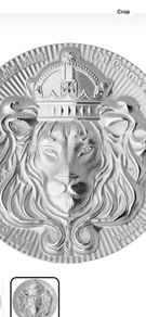 100 gram silver coin