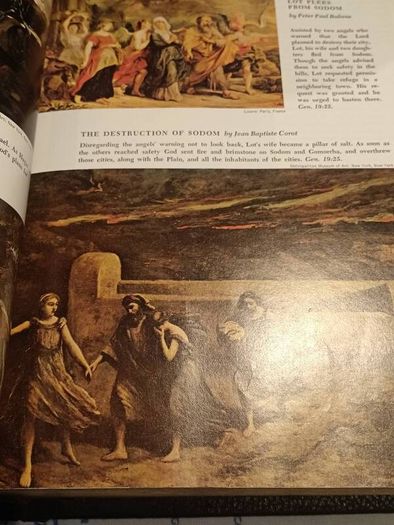 XL The New American Bible