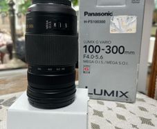 panasonic Lumix G vario 100-300mm