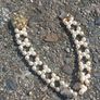 Vintage jewelry is sold individually for 5 to 10 euros Image 6