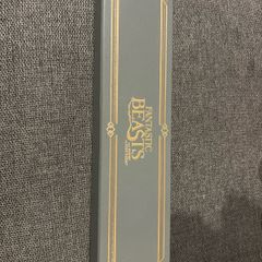 Harry Potter wand