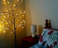 6ft LED Decorative Tree Lamp - Working