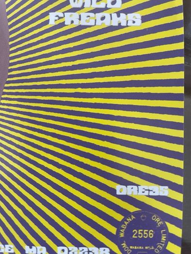 Acid Mothers Temple & The Melting Paraiso UFO - Grateful Head / Whopping Wild Freaks