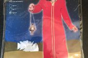 Wiseman costume