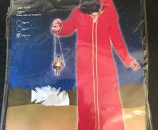 Wiseman costume