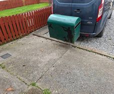 dog transport