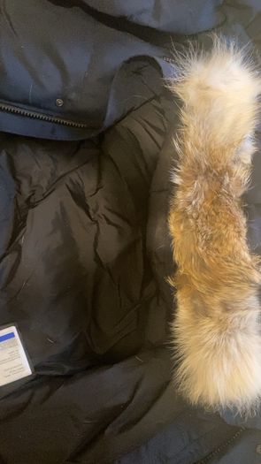 Canada goose puffer