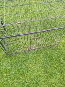 dog cage