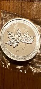 2 oz silver coin