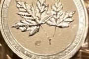 2 oz silver coin
