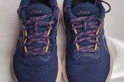 asics Trainers