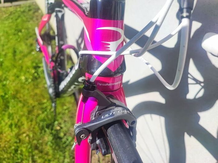 Pinarello carbon