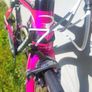 Pinarello carbon Image 3