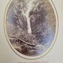 Tennyson Image 7