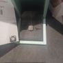 Engagement Ring Brand New Stunning Absolutely No Offers Image 4